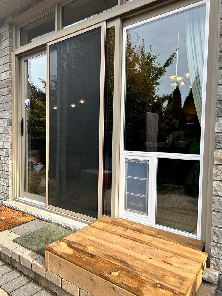 Pet Door Products In The Glass Pet Door - Image 15