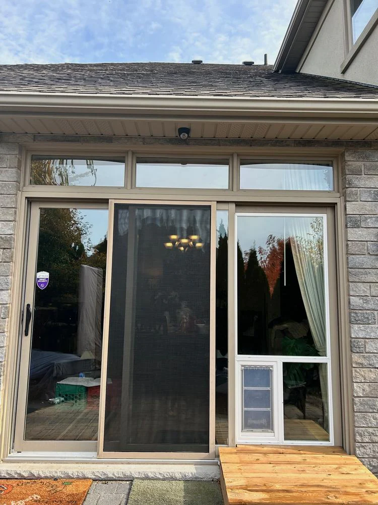 Pet Door Products In The Glass Pet Door - Image 5