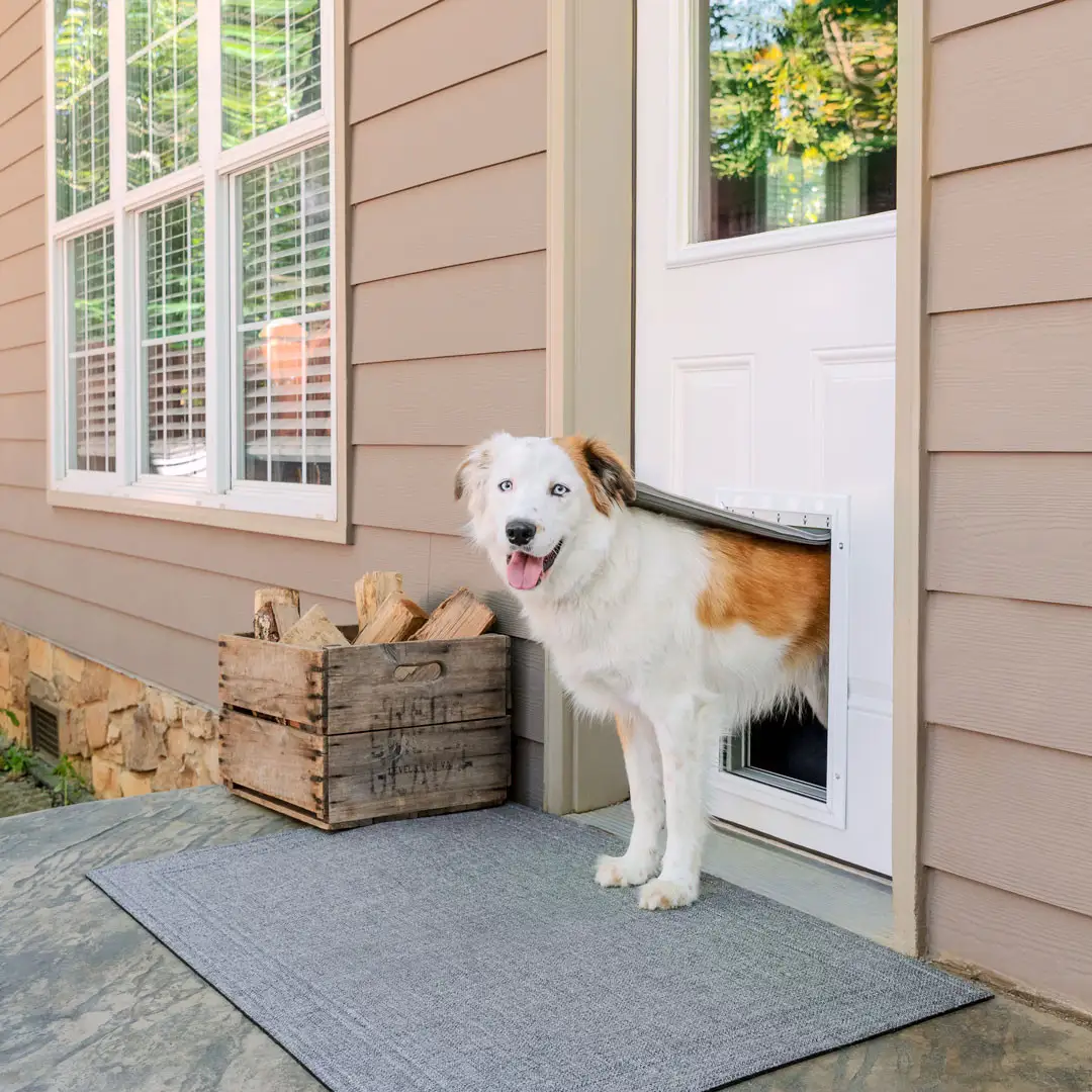 PetSafe Extreme Weather Aluminum Pet Door - Image 4