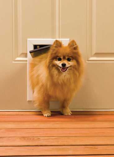 PetSafe Freedom Aluminum Pet Door - Image 10