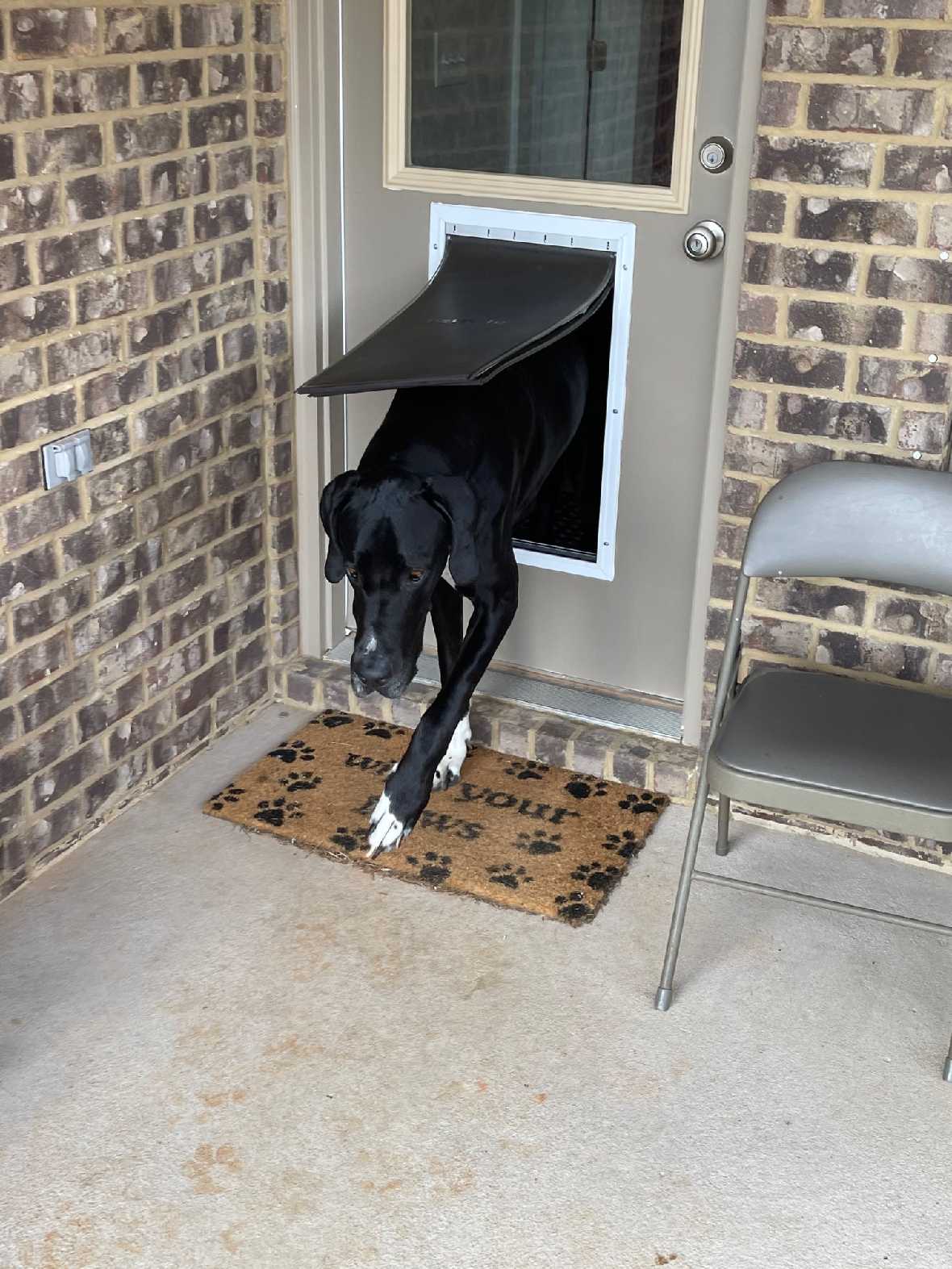 PetSafe Freedom Aluminum Pet Door - Image 11