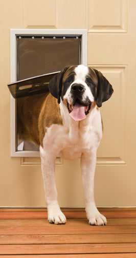 PetSafe Freedom Aluminum Pet Door - Image 7