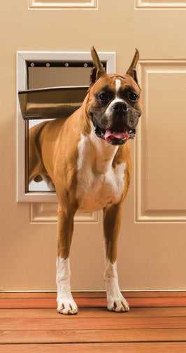 PetSafe Freedom Aluminum Pet Door - Image 8