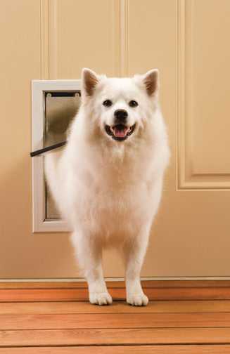 PetSafe Freedom Aluminum Pet Door - Image 9