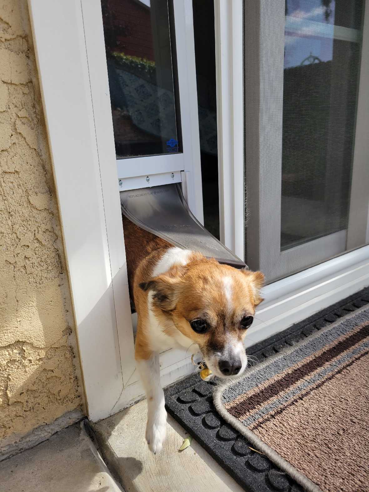 PetSafe Freedom Dog Door for Sliding Glass Door - Image 10