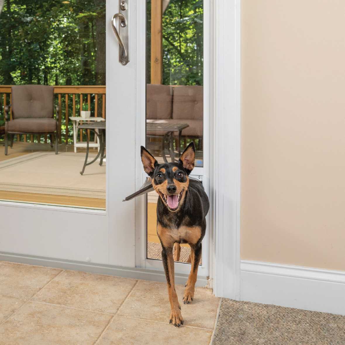 PetSafe Freedom Dog Door for Sliding Glass Door - Image 20