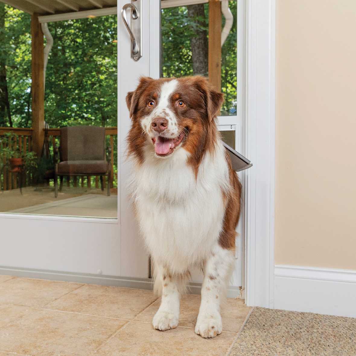 PetSafe Freedom Dog Door for Sliding Glass Door - Image 23
