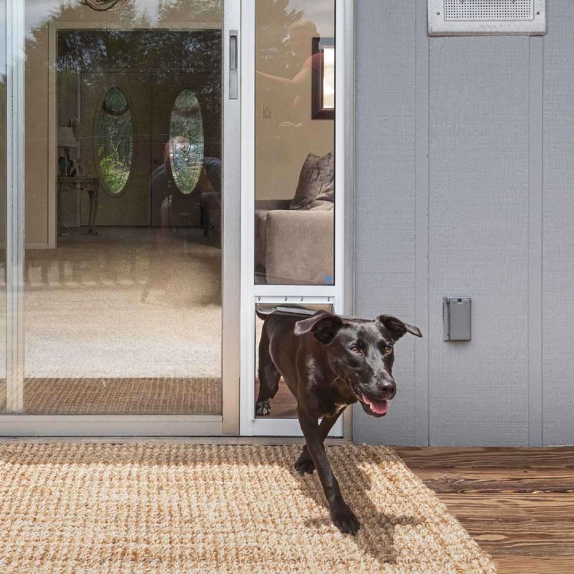 PetSafe Freedom Dog Door for Sliding Glass Door - Image 6
