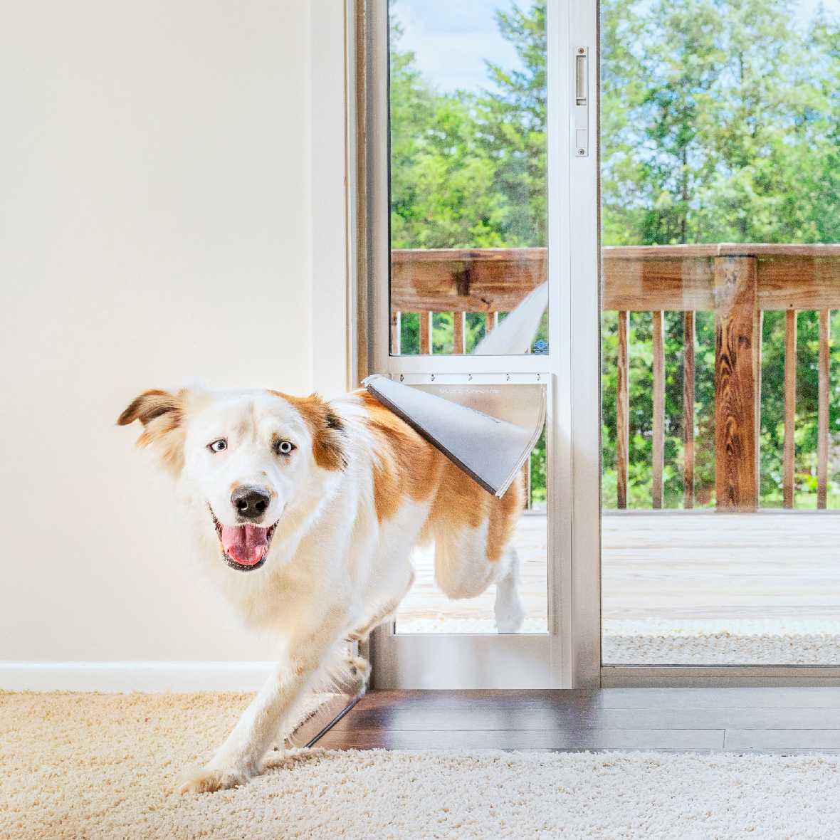 PetSafe Freedom Dog Door for Sliding Glass Door - Image 7