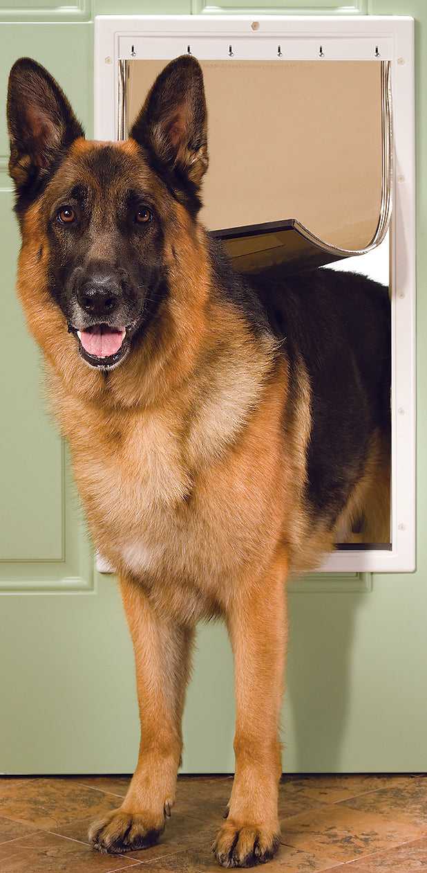 PetSafe Plastic Pet Door - Image 13