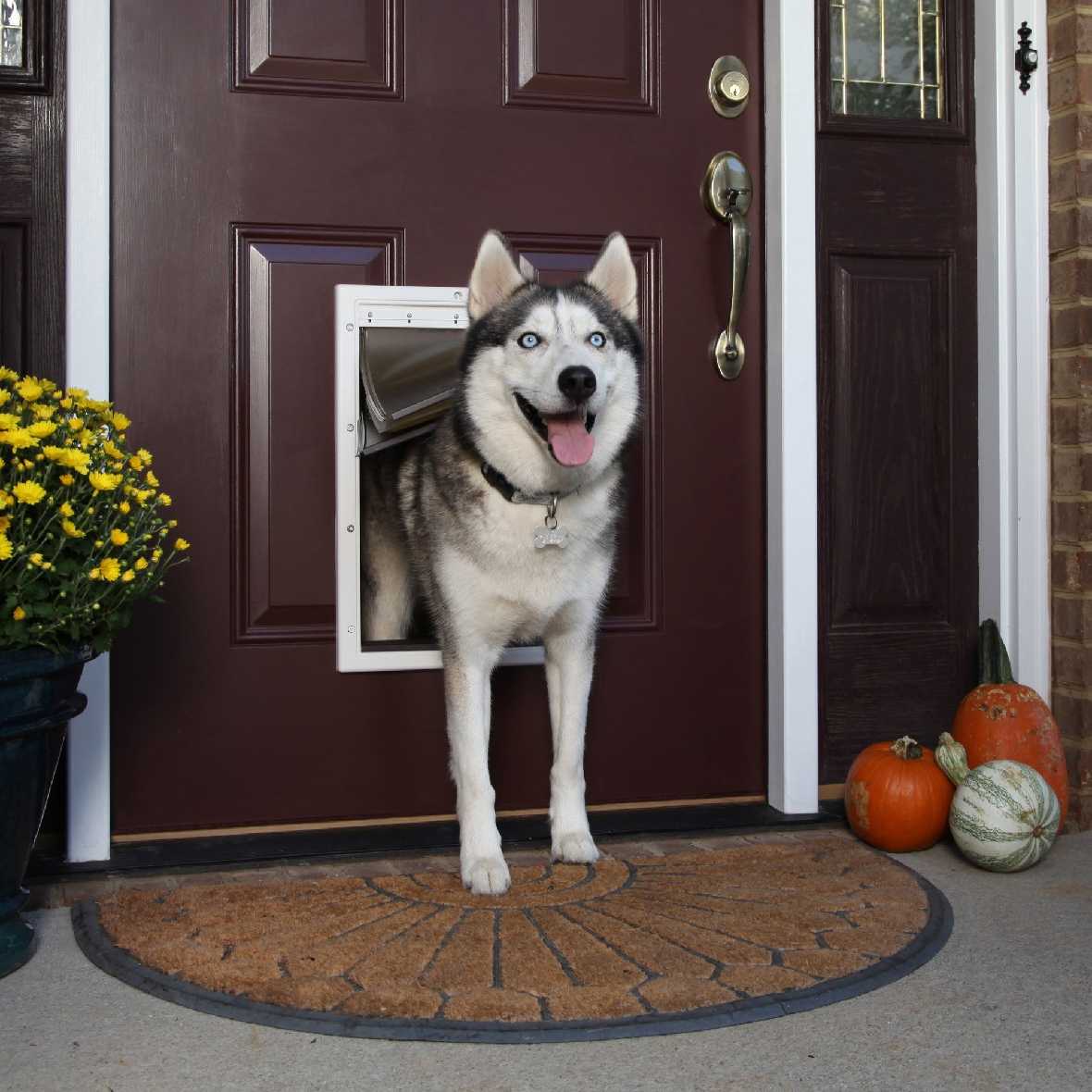 PetSafe Plastic Pet Door - Image 14