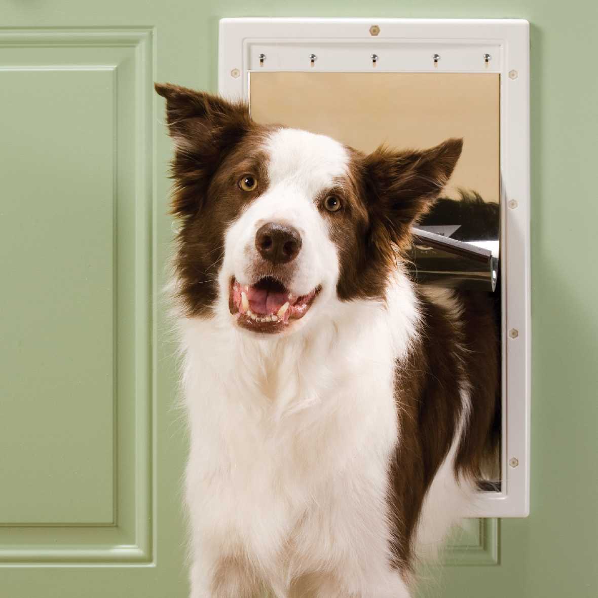 PetSafe Plastic Pet Door - Image 16