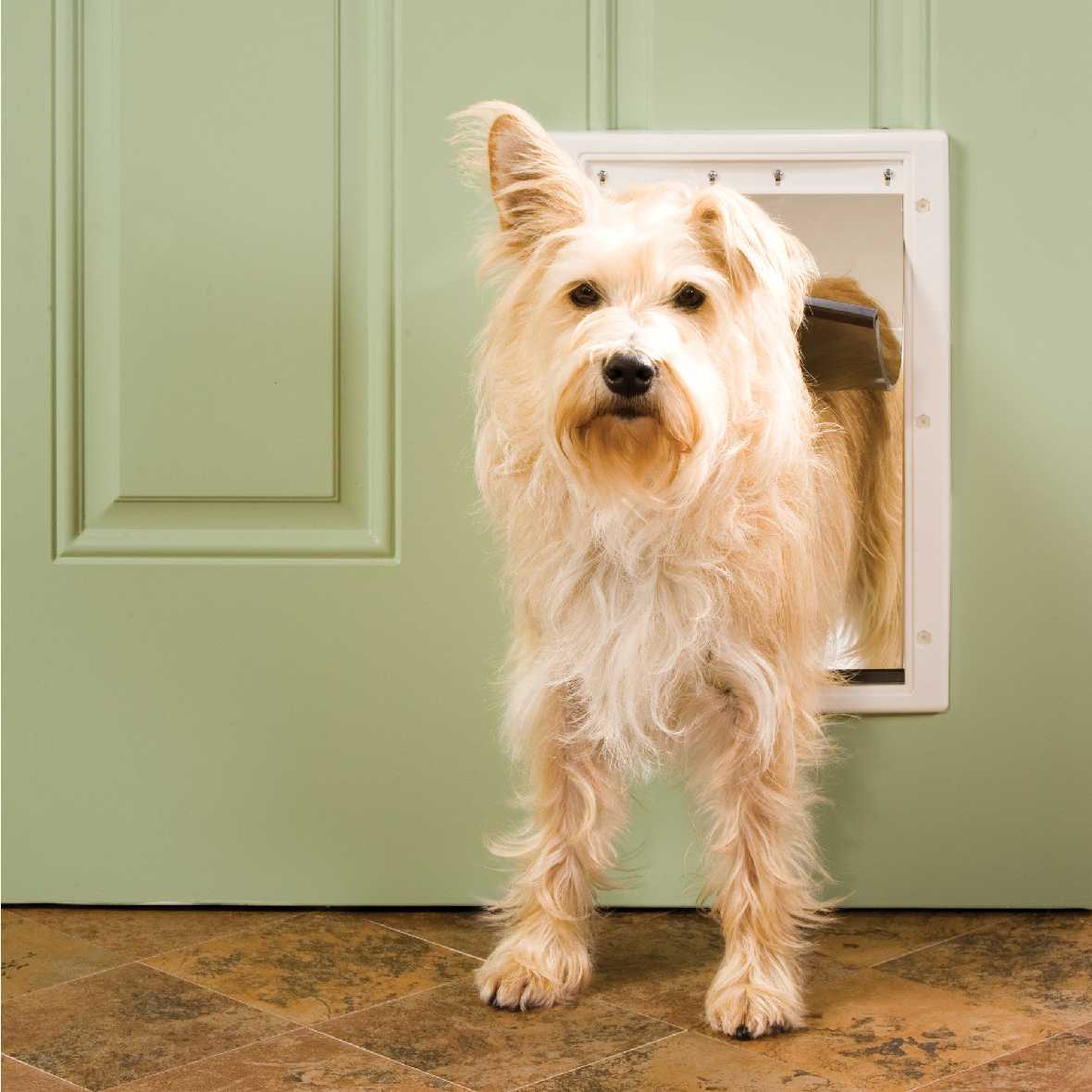 PetSafe Plastic Pet Door - Image 17