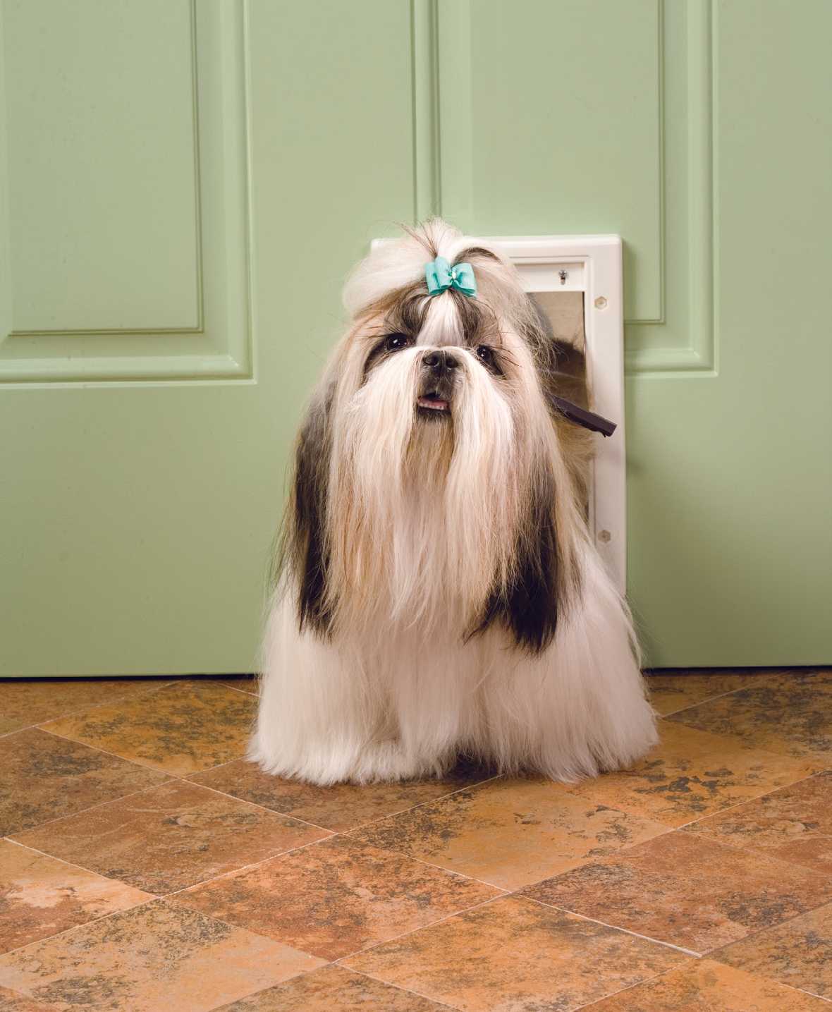 PetSafe Plastic Pet Door - Image 5
