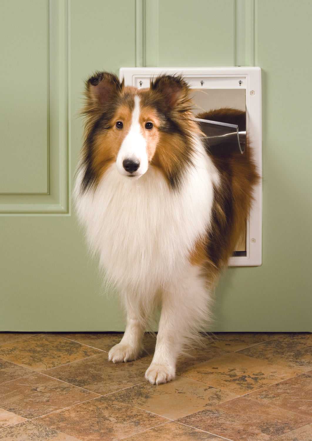 PetSafe Plastic Pet Door - Image 6