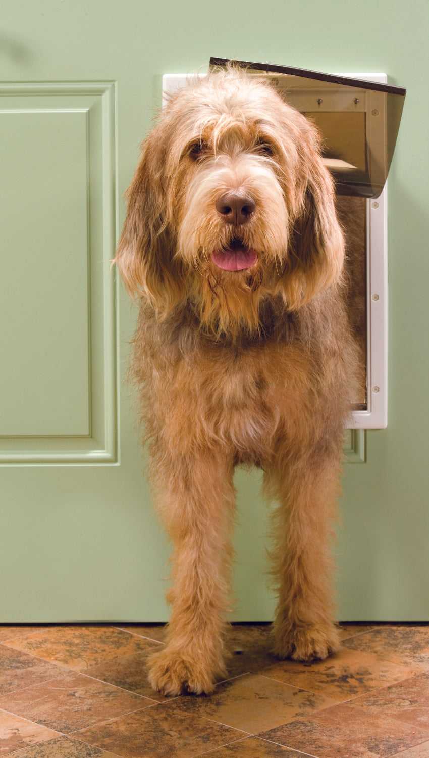PetSafe Plastic Pet Door - Image 7