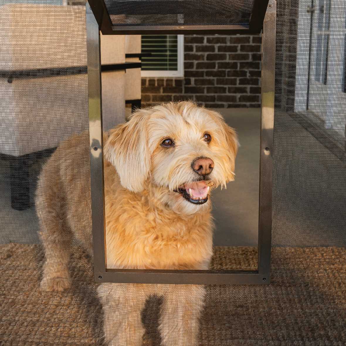 PetSafe Pet Screen Door - Image 6