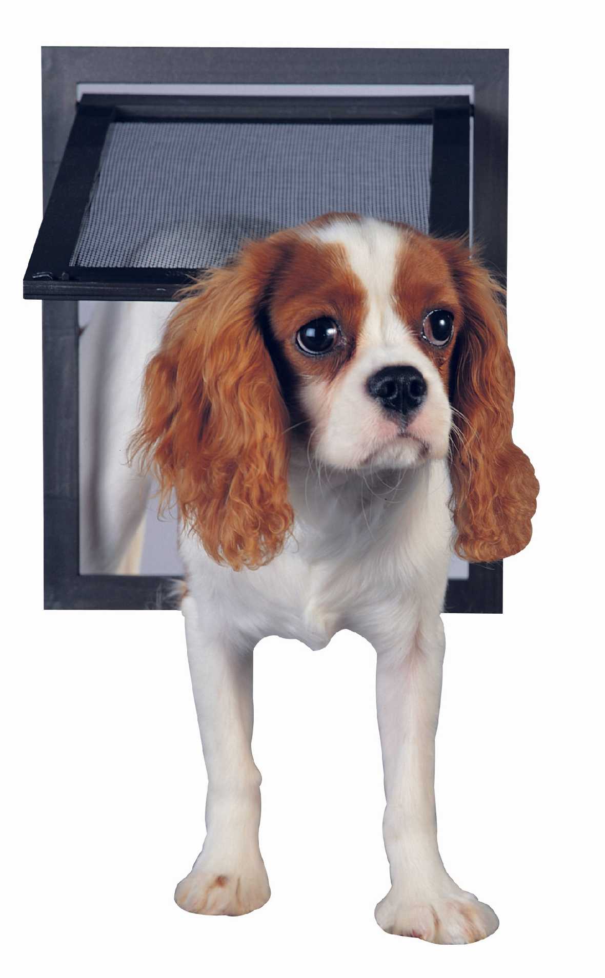 PetSafe Pet Screen Door - Image 8