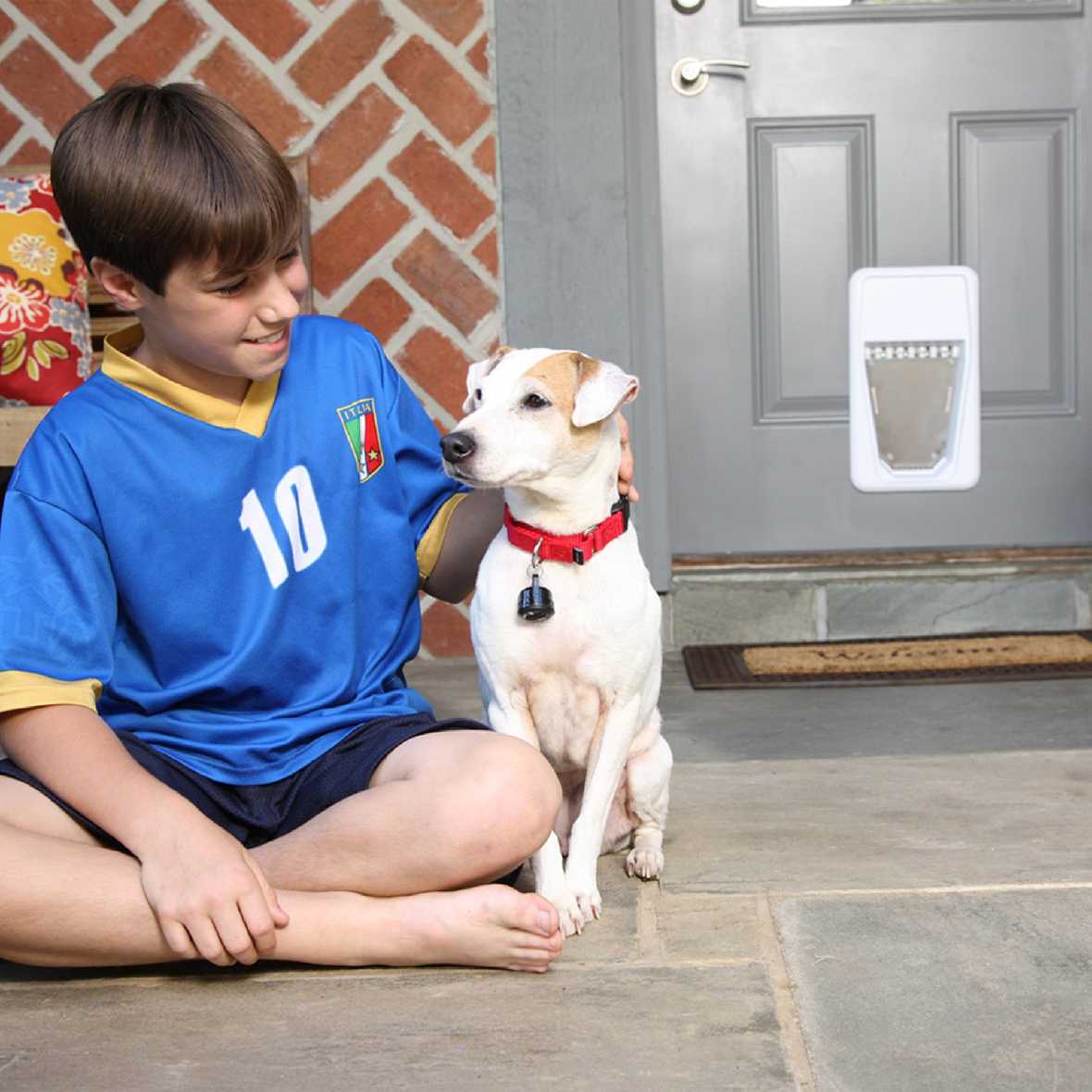 PetSafe Electronic Smart Door - Image 7