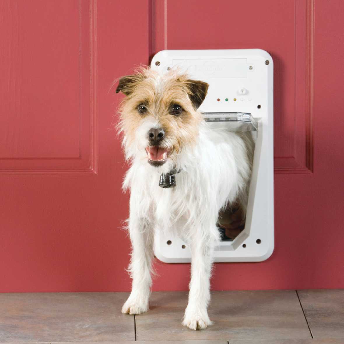 PetSafe Electronic Smart Door - Image 8