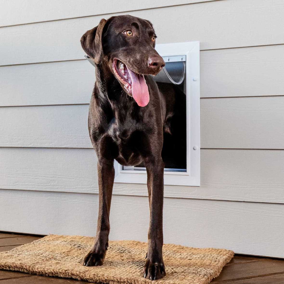 PetSafe Wall Entry Pet Door - Image 10