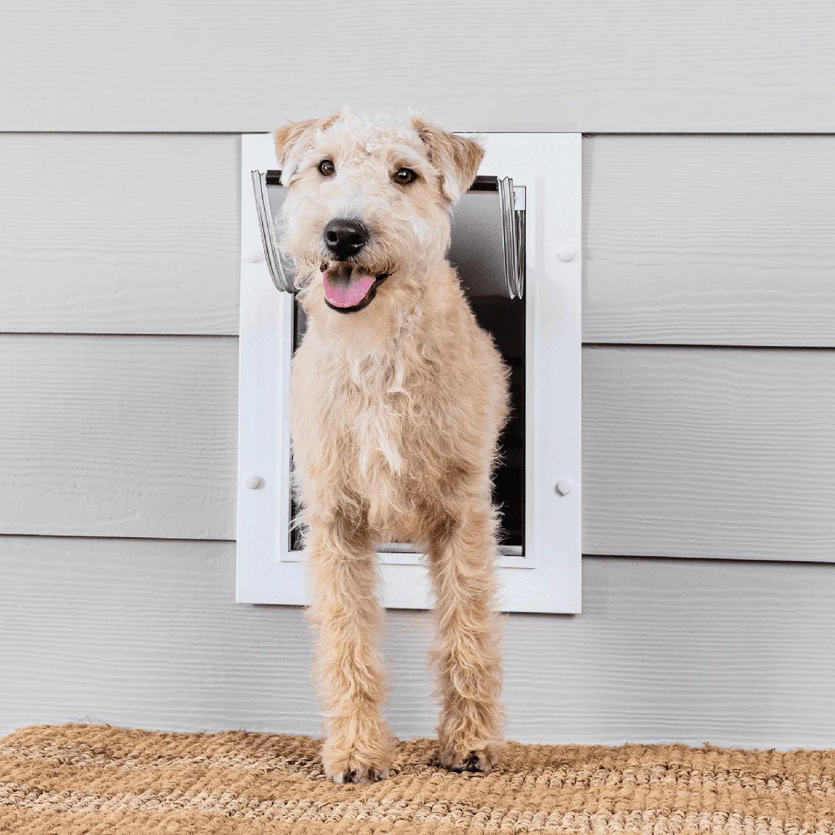 PetSafe Wall Entry Pet Door - Image 14