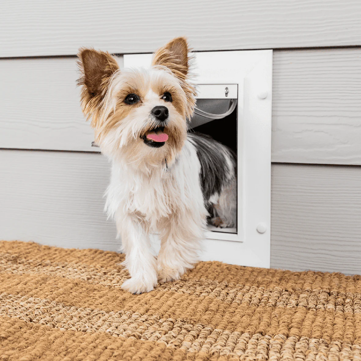 PetSafe Wall Entry Pet Door - Image 15