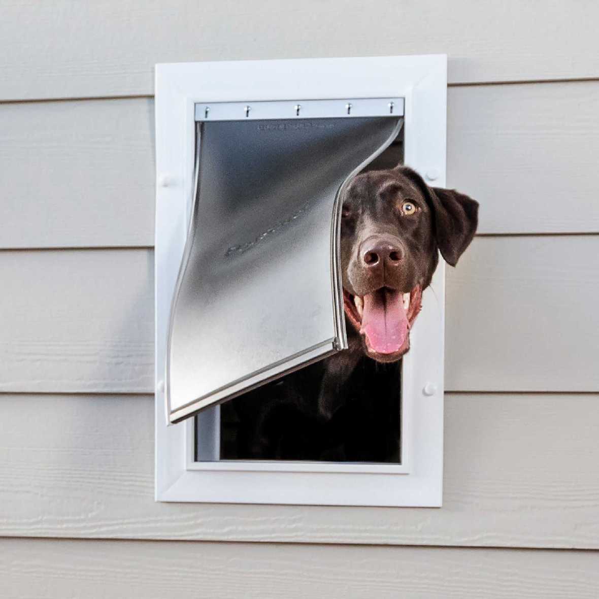 PetSafe Wall Entry Pet Door - Image 9