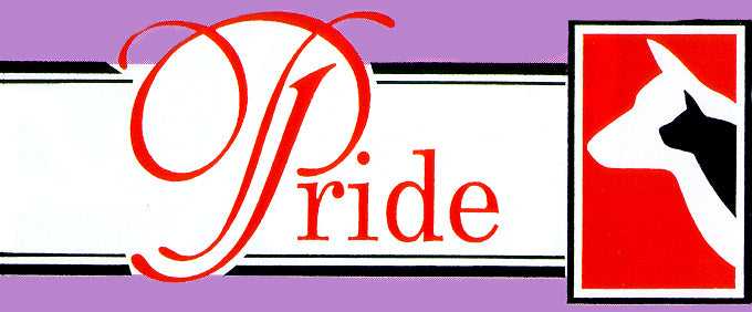Pride Replacement Flaps (Fits Johnson & PetSafe Ultimate) - Image 14