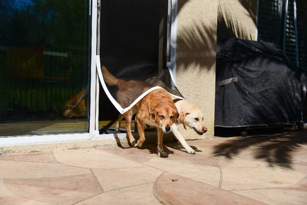 Screen Pet Door Conversion and Replacement Kit - Image 11