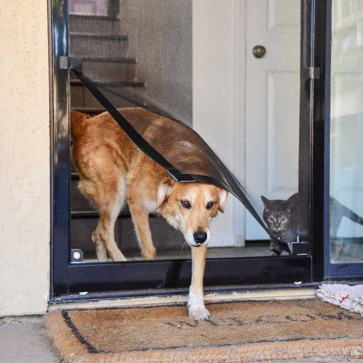 Screen Pet Door Conversion and Replacement Kit - Image 12