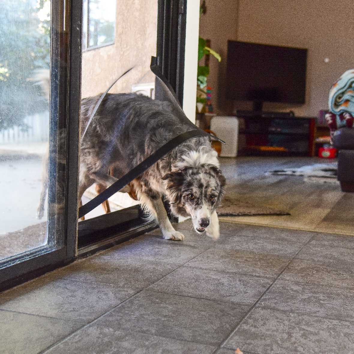 Screen Pet Door Conversion and Replacement Kit - Image 13