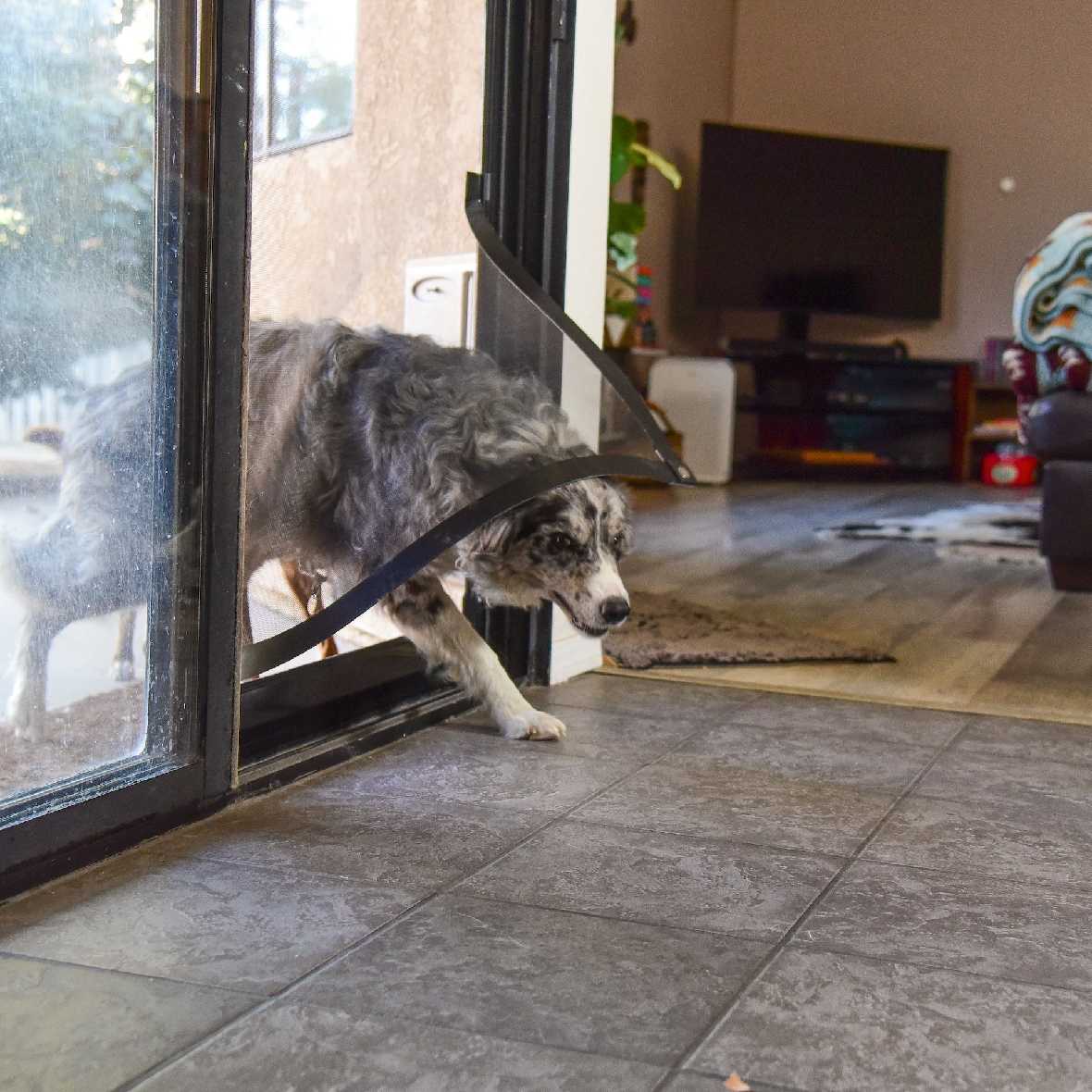 Screen Pet Door Conversion and Replacement Kit - Image 14