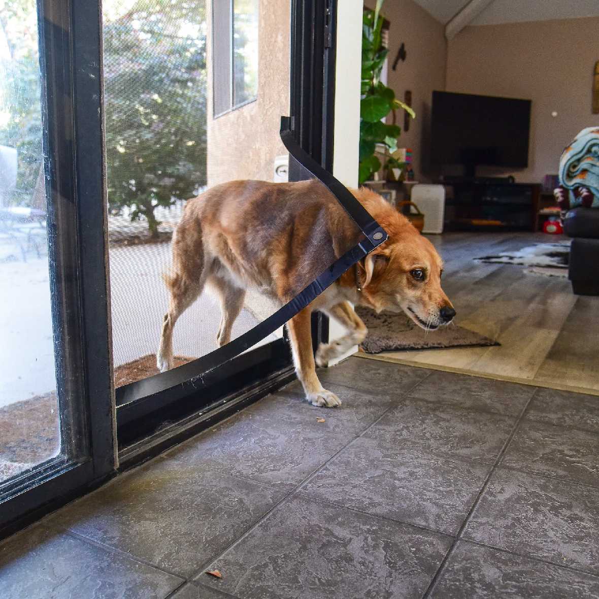 Screen Pet Door Conversion and Replacement Kit - Image 15