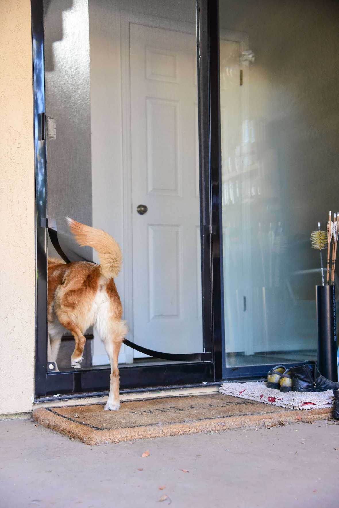 Screen Pet Door Conversion and Replacement Kit - Image 16