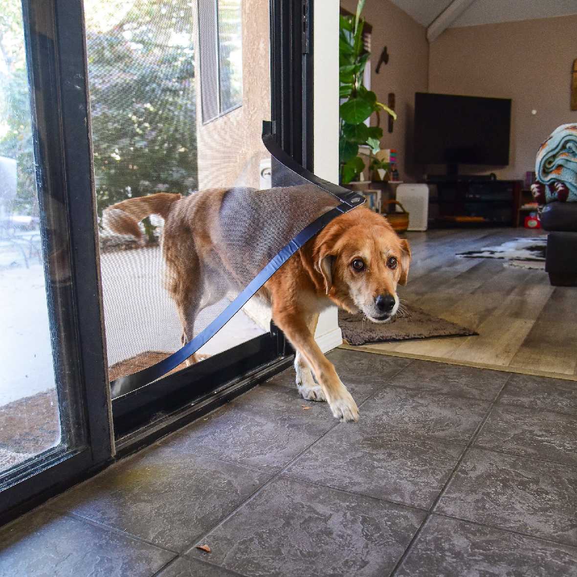 Screen Pet Door Conversion and Replacement Kit - Image 17