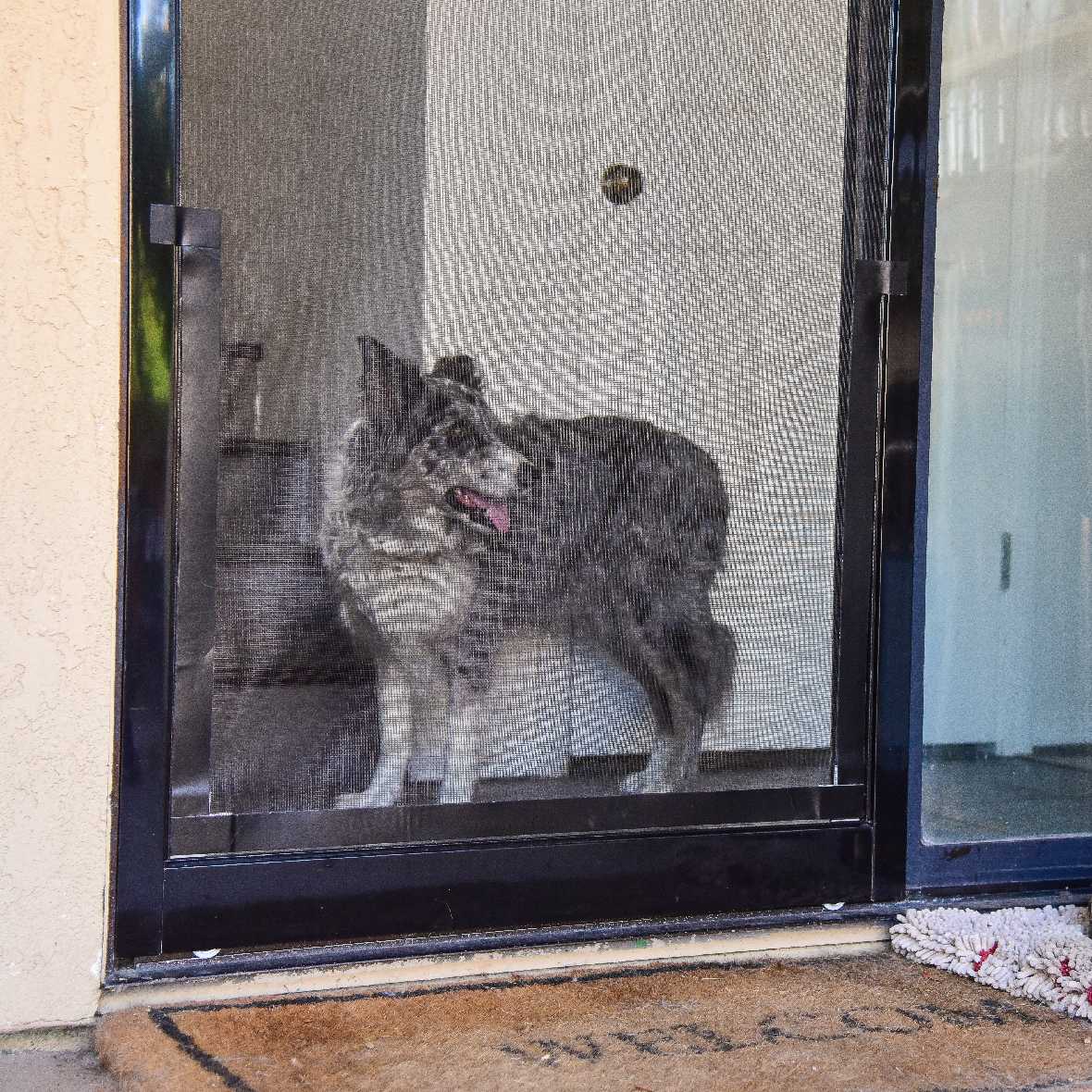 Screen Pet Door Conversion and Replacement Kit - Image 18