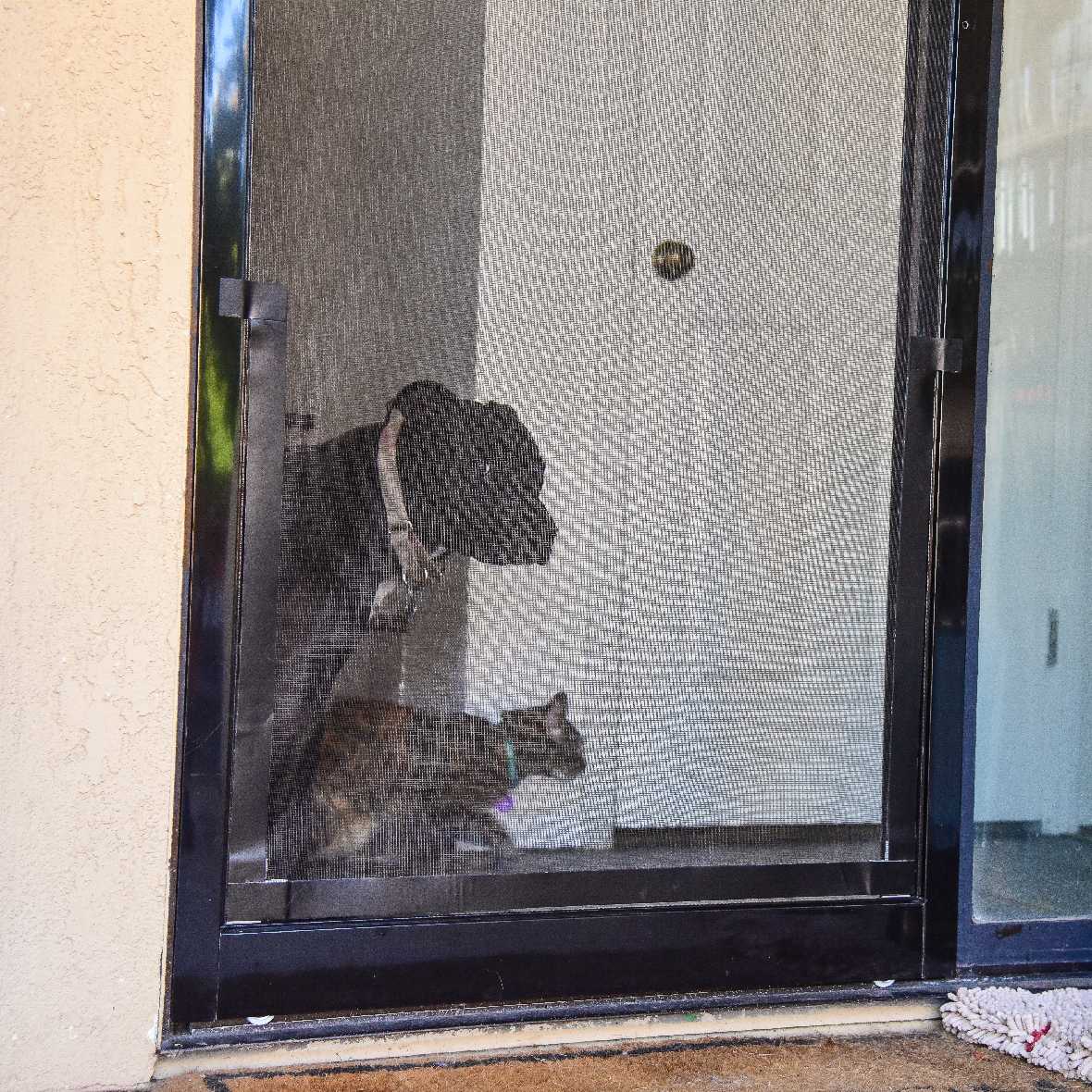 Screen Pet Door Conversion and Replacement Kit - Image 19