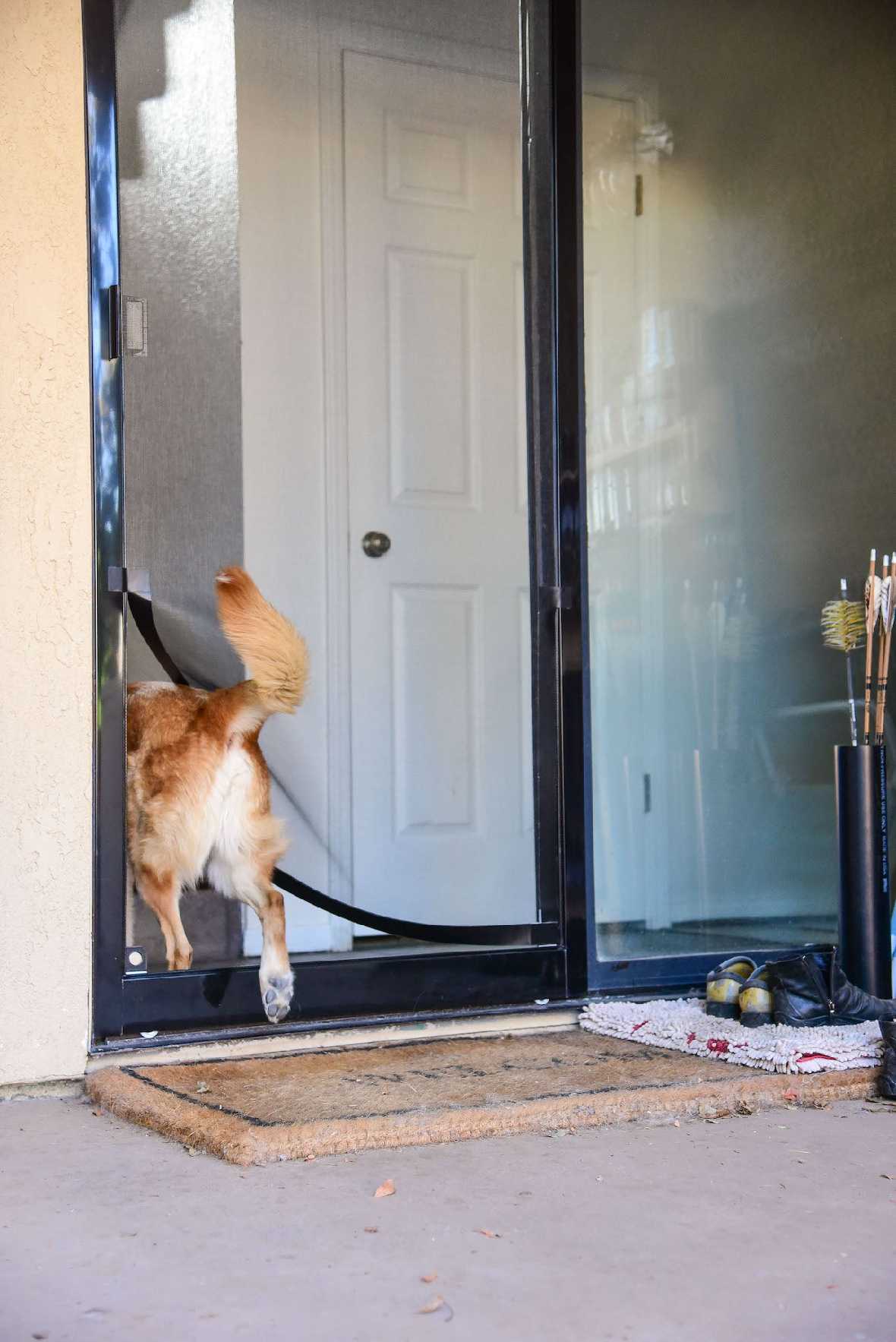 Screen Pet Door Conversion and Replacement Kit - Image 21