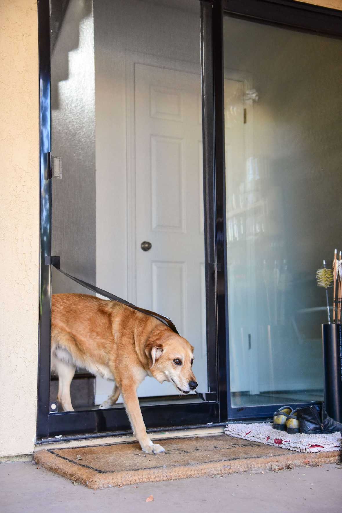 Screen Pet Door Conversion and Replacement Kit - Image 22