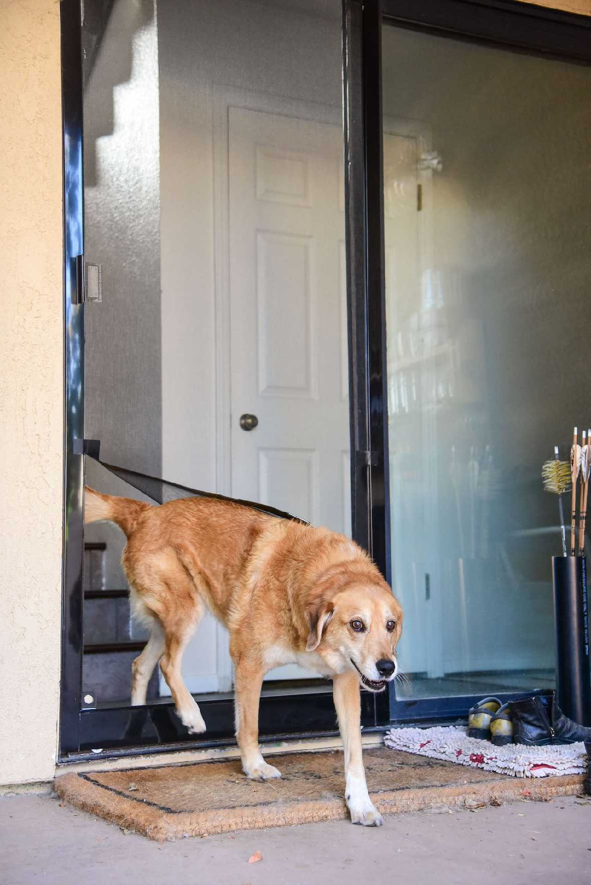 Screen Pet Door Conversion and Replacement Kit - Image 23