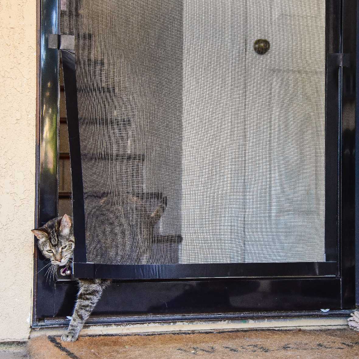 Screen Pet Door Conversion and Replacement Kit - Image 25