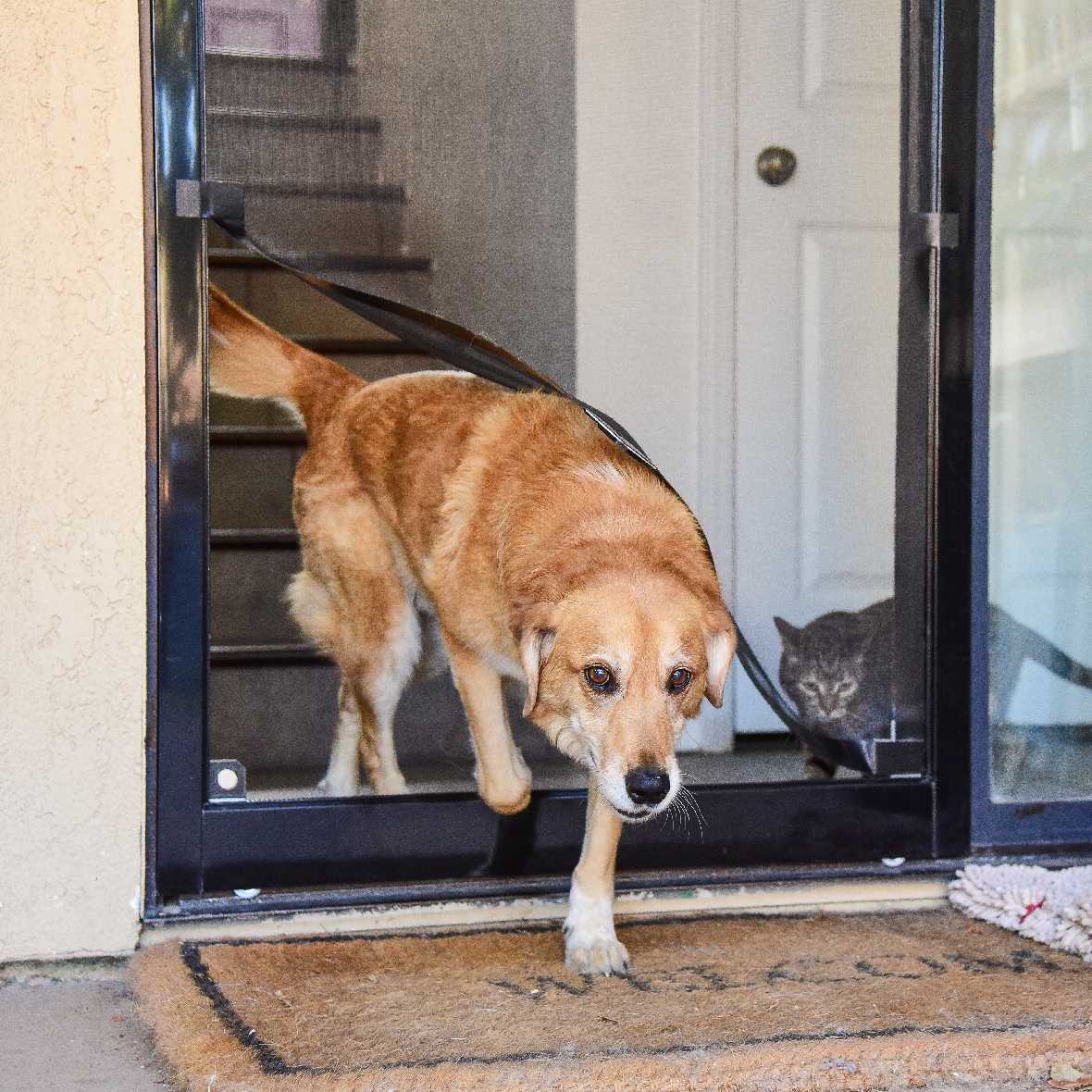 Screen Pet Door Conversion and Replacement Kit - Image 26