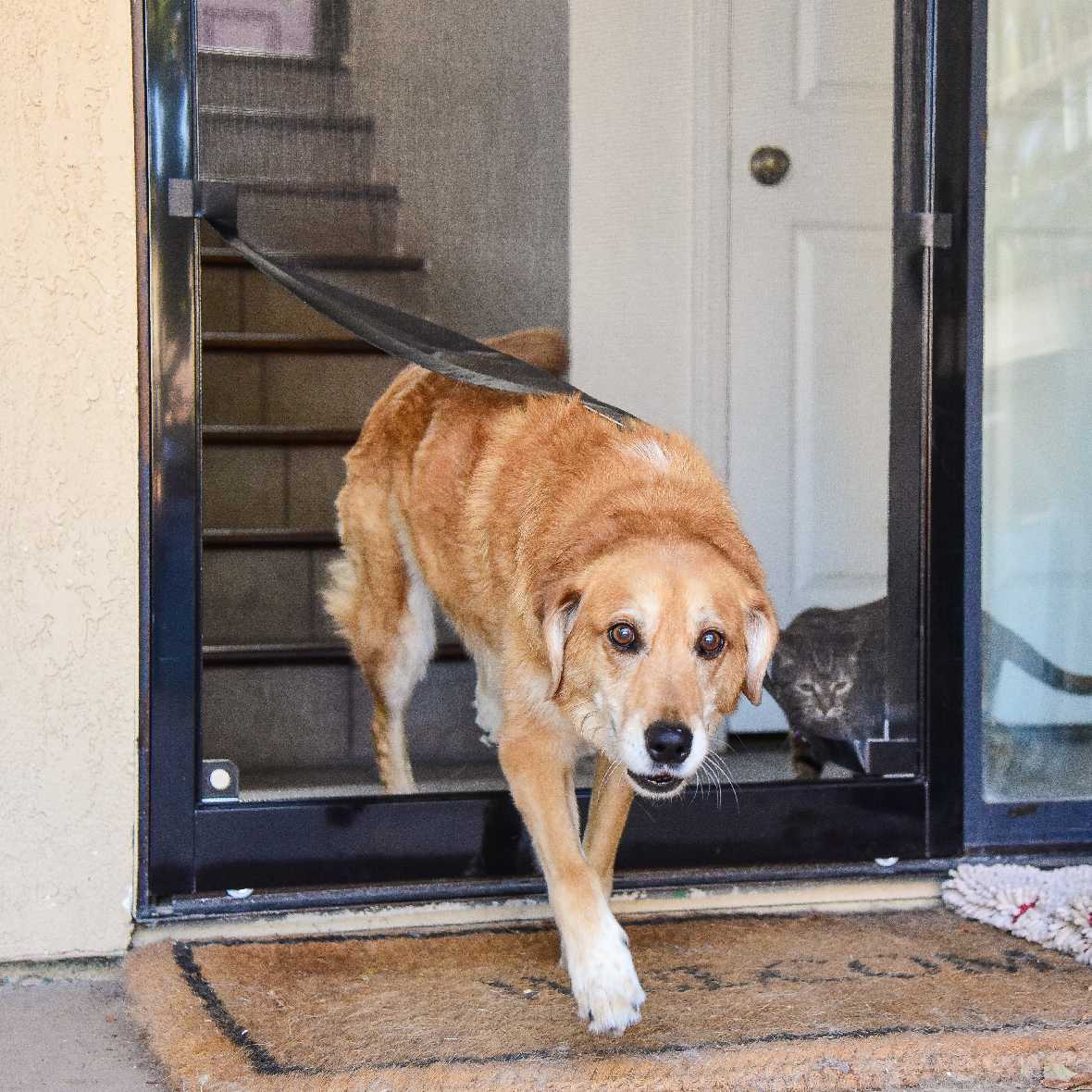 Screen Pet Door Conversion and Replacement Kit - Image 27
