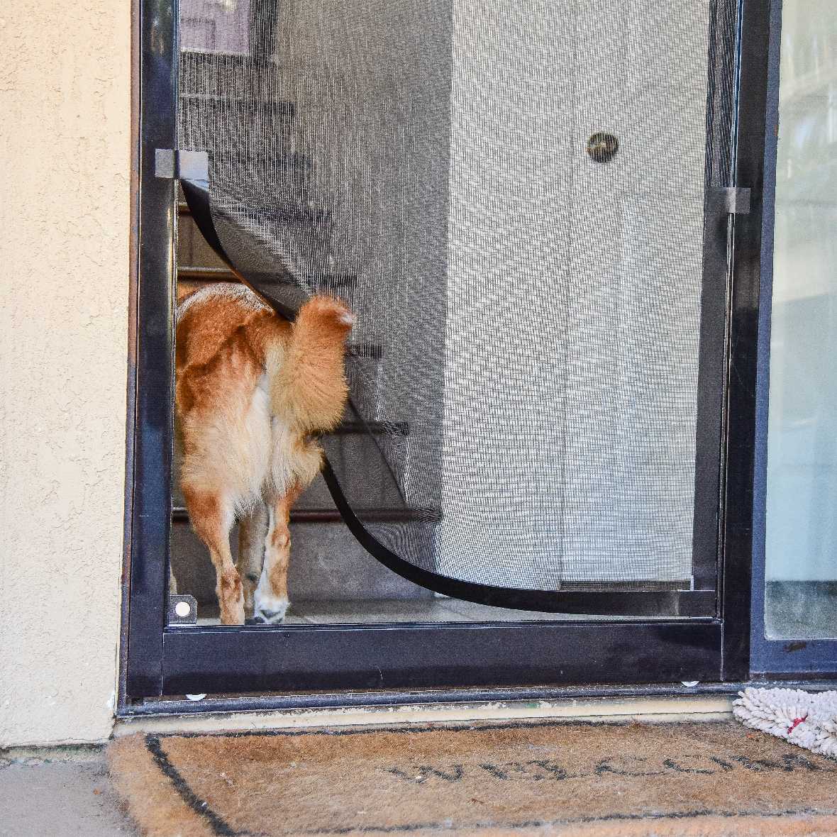 Screen Pet Door Conversion and Replacement Kit - Image 28