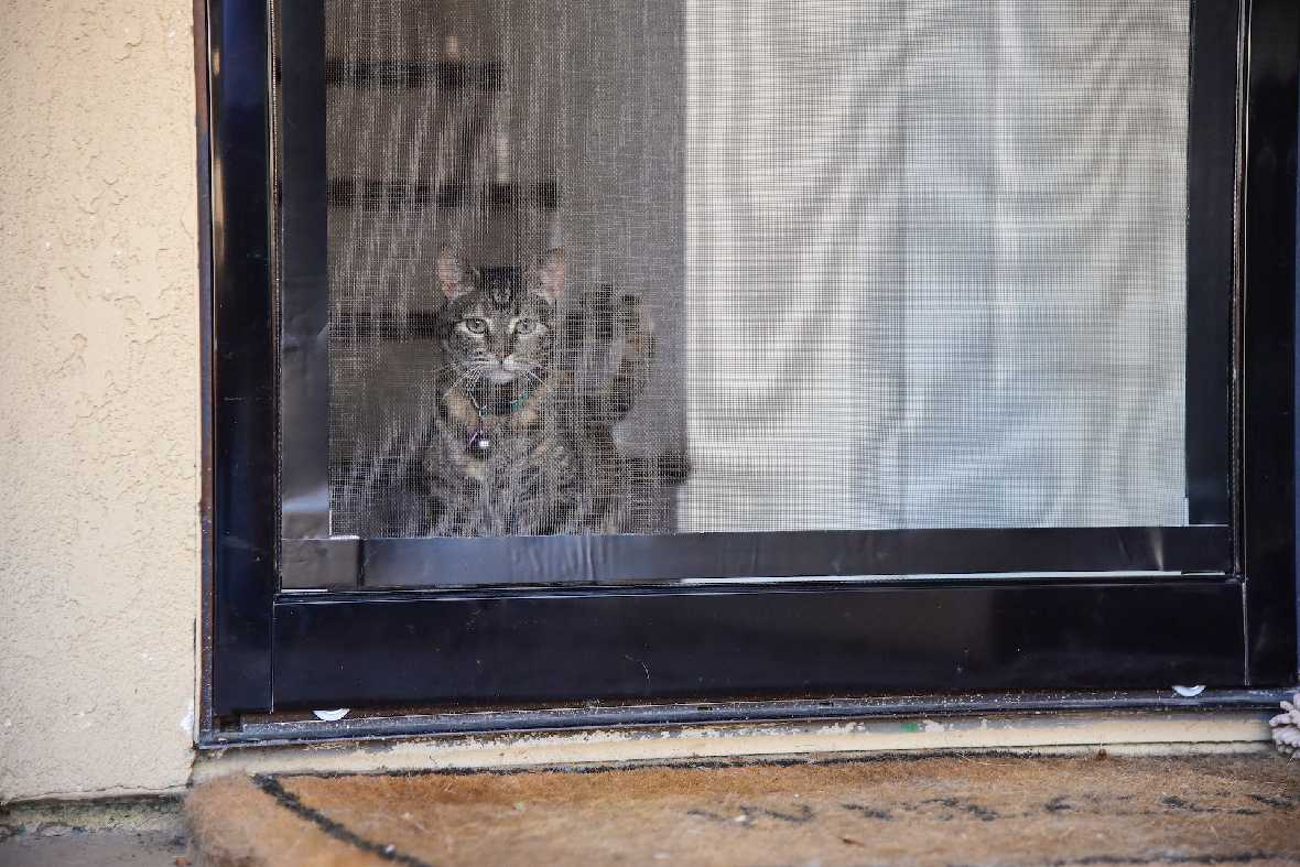 Screen Pet Door Conversion and Replacement Kit - Image 29