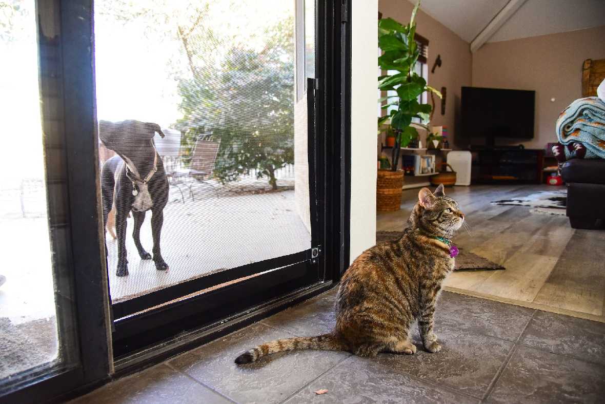 Screen Pet Door Conversion and Replacement Kit - Image 31