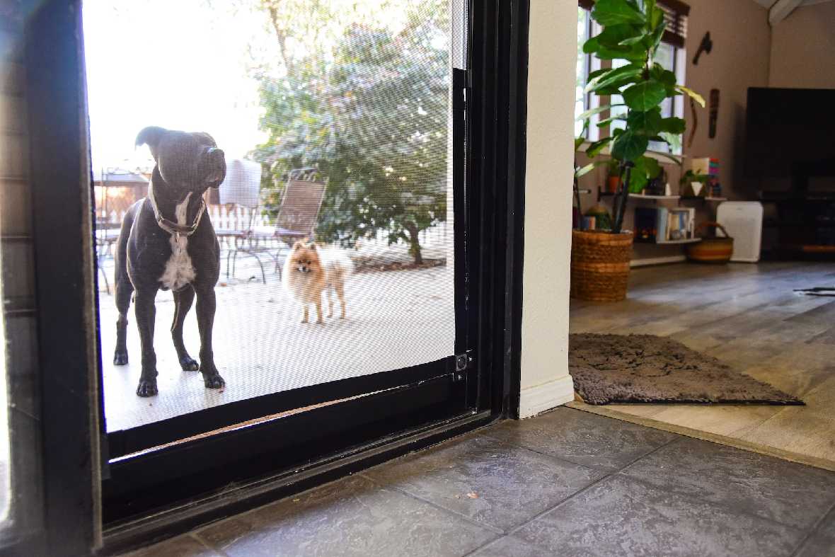Screen Pet Door Conversion and Replacement Kit - Image 32
