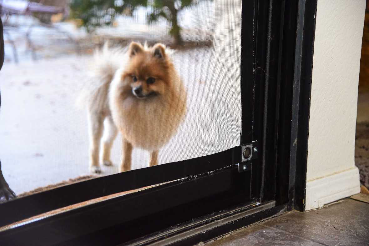 Screen Pet Door Conversion and Replacement Kit - Image 33