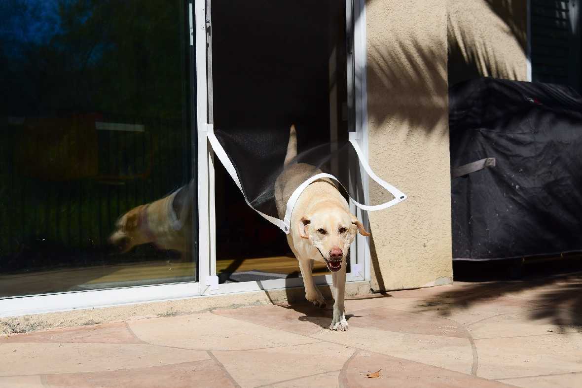 Screen Pet Door Conversion and Replacement Kit - Image 8